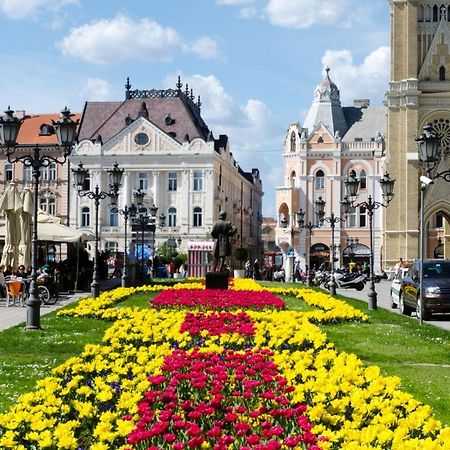 ! Promo! Central Evergreen Studio - Free Public Parking-Fast Wi-Fi Novi Sad Buitenkant foto